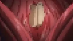 girl gets fucked after match