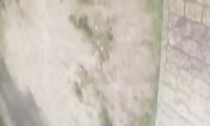 not My step sister booty