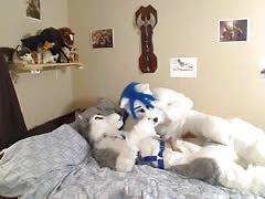 fursuit 2